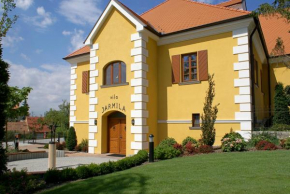 Гостиница Hotel Akademie  Велке Виловице
